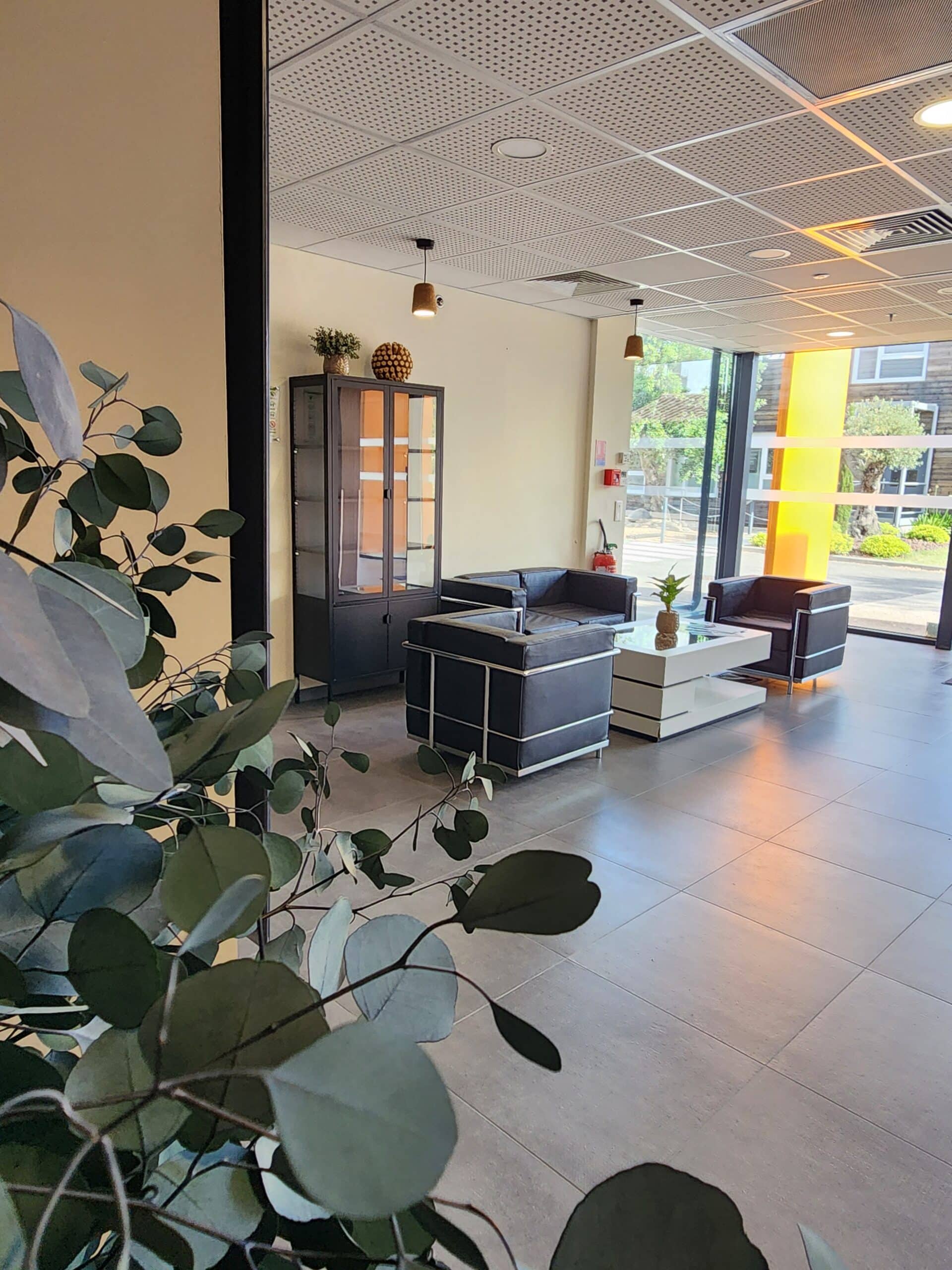 Espace d'attente moderne : fauteuils noirs, table basse blanche, vitrine et plante au premier plan.