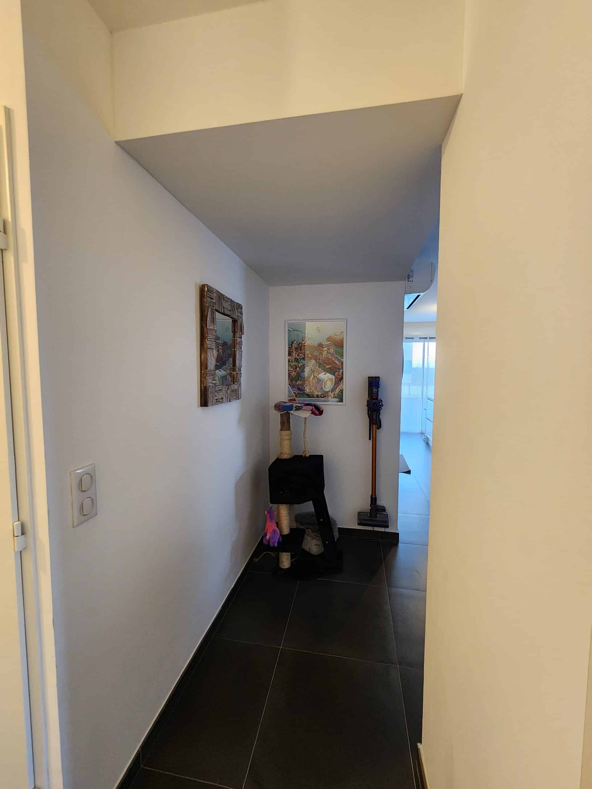 Couloir moderne au sol sombre avec arbre à chat, aspirateur balai et cadres muraux décoratifs sur murs blancs épurés.